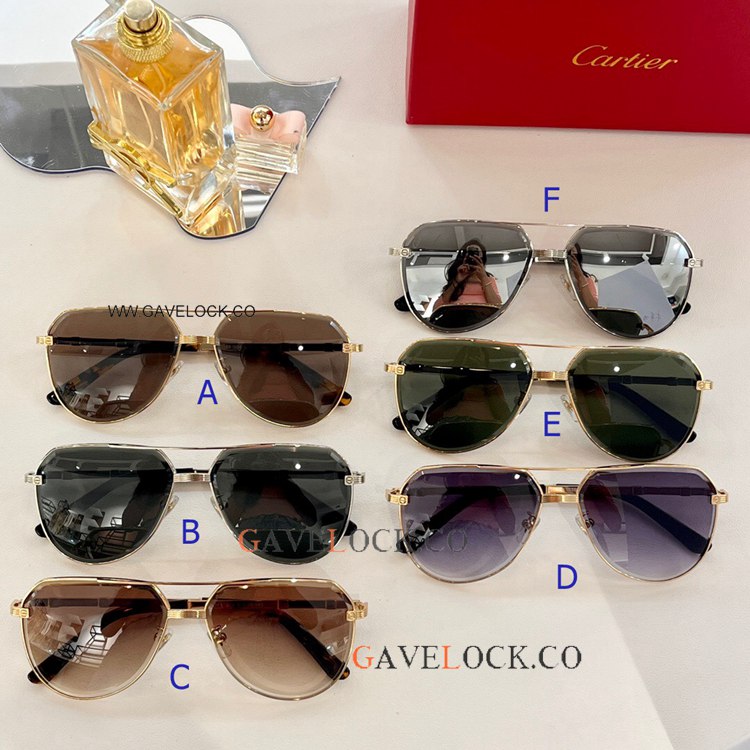 Cartier Santos Sunglasses CT389 Black Fading lenses Cartier Santos Sunglasses CT389 Black Fading lenses